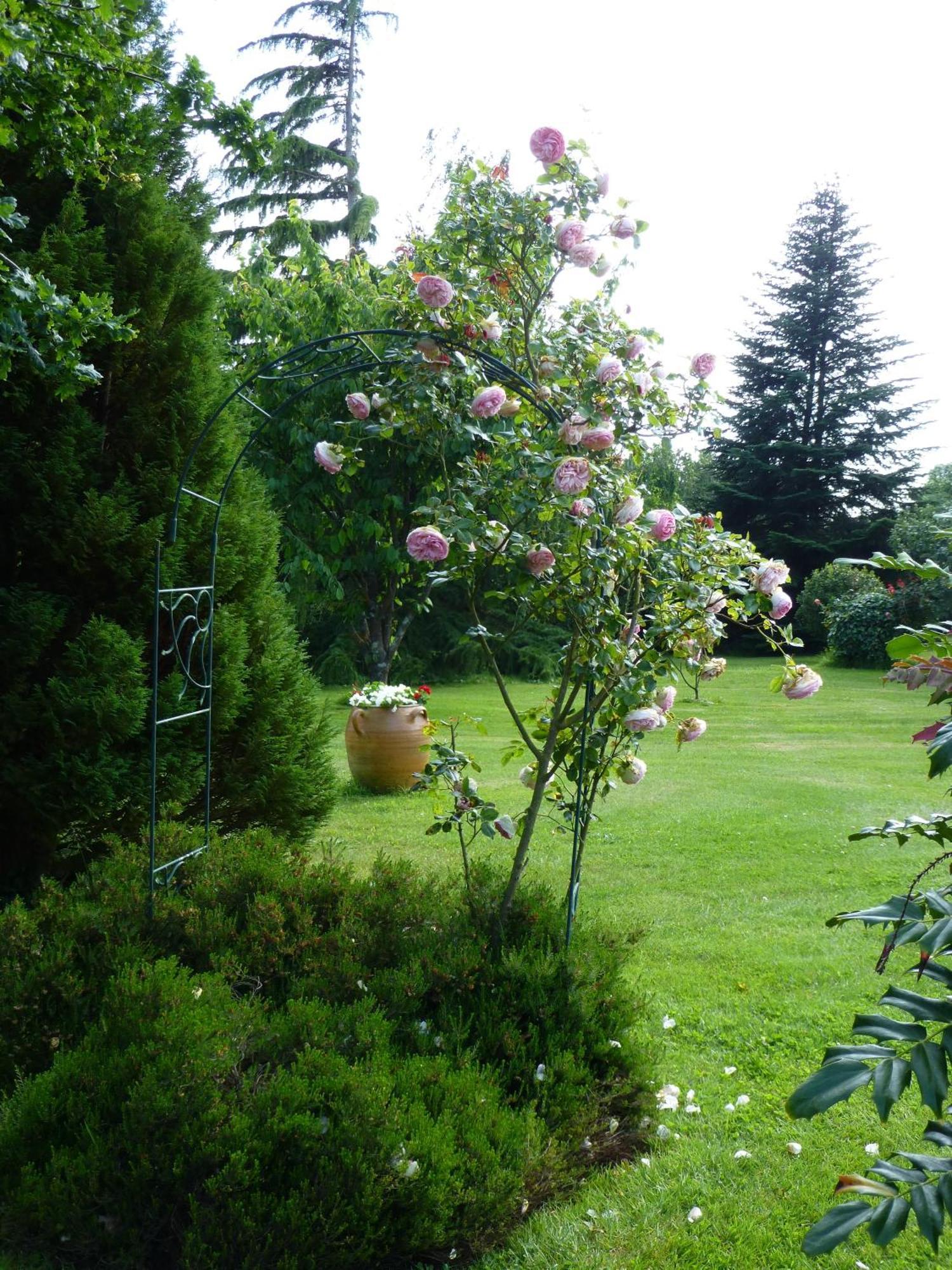 Le Clos Du Pont Martin Bed and Breakfast Saint-Briac-sur-Mer Buitenkant foto